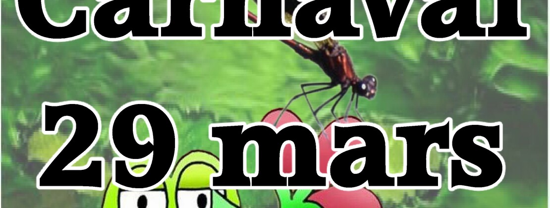 Carnaval d'Estissac_Estissac