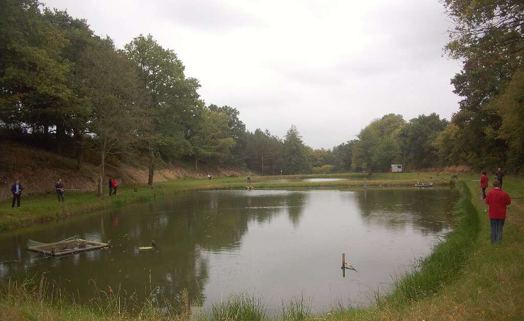 etang peche truite 53