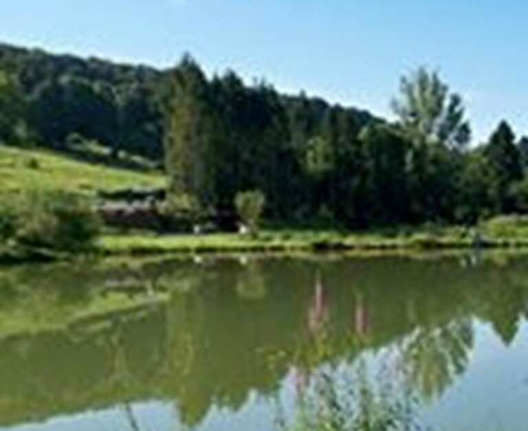 etang d'elan peche truite
