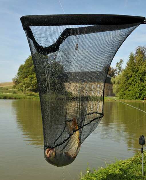 etang truite vendresse