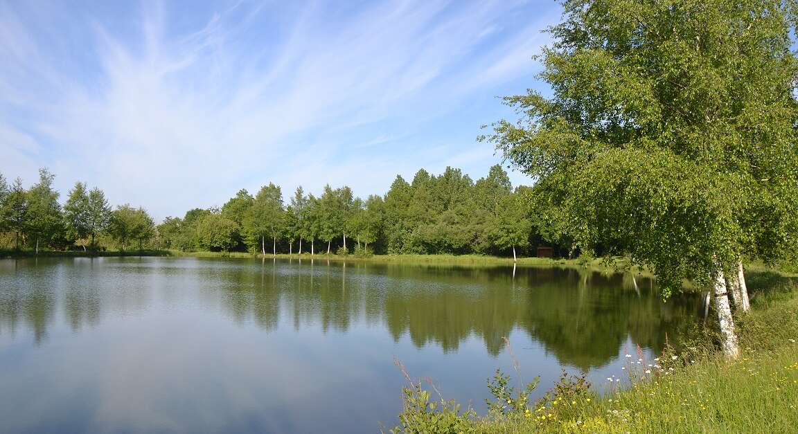 PLAN D’EAU DE CHAMPFREMONT (Champfrémont) Portail du tourisme du département La Mayenne PLAN D’EAU DE CHAMPFREMONT (Champfrémont) Portail du tourisme du département La Mayenne