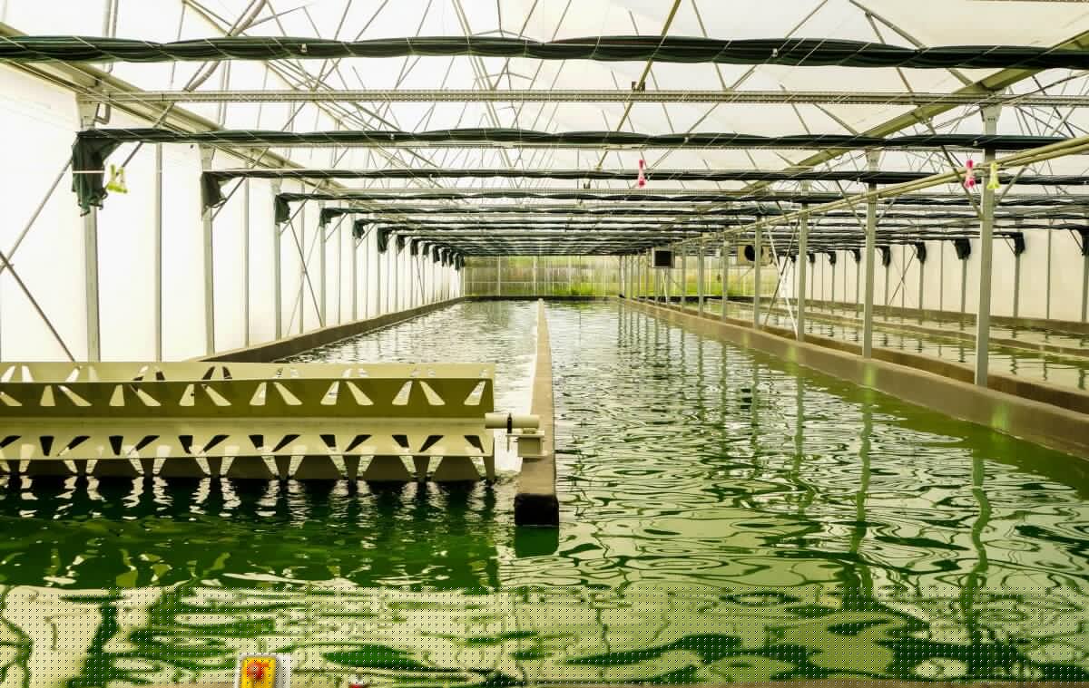 B9720348931Z.1_20190726145641_000+GLDE4A31H.1-0