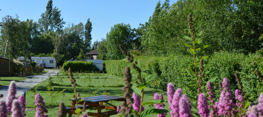 Camping de la Petite Forêt 2017 AIRE-SUR-LA-LYS © SPL Tourisme en Pays de Saint-Omer