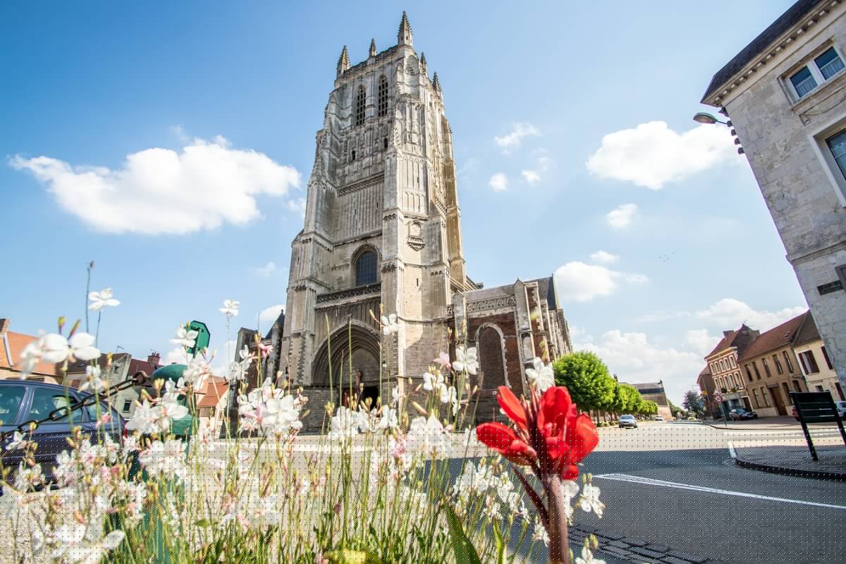 Collégiale Saint-Pierre 2016 AIRE-SUR-LA-LYS