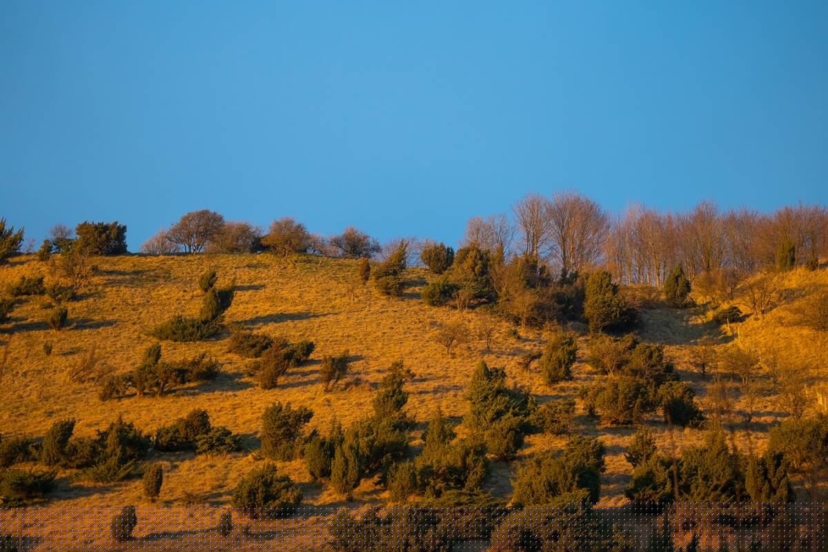 Coteaux de l'Aa - Wavrans-sur-l'Aa 2024
