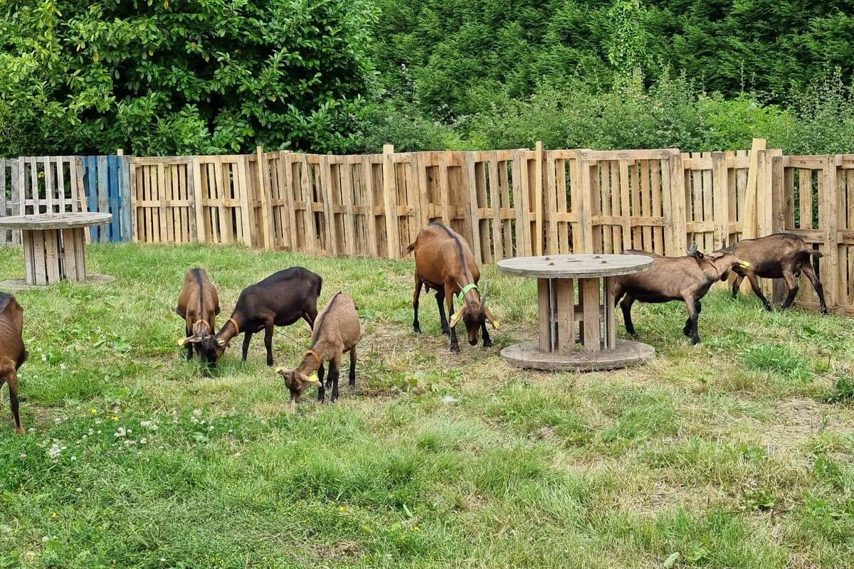 Ferme La Chev'riotte à RECLINGHEM