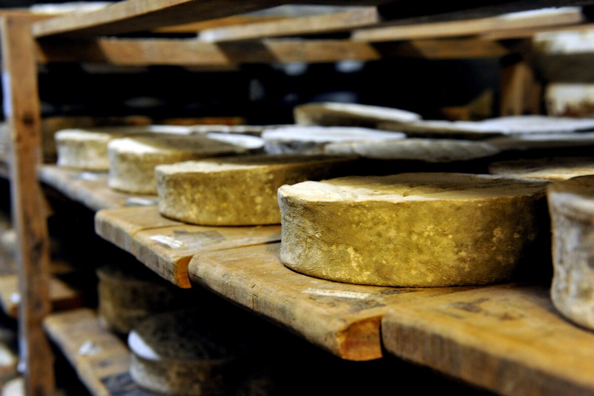 Ferme du Milou 2011 TATINGHEM 