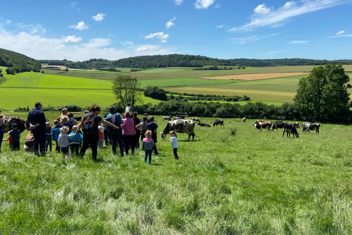 Ferme du Mont Vert à Alquines en 2009