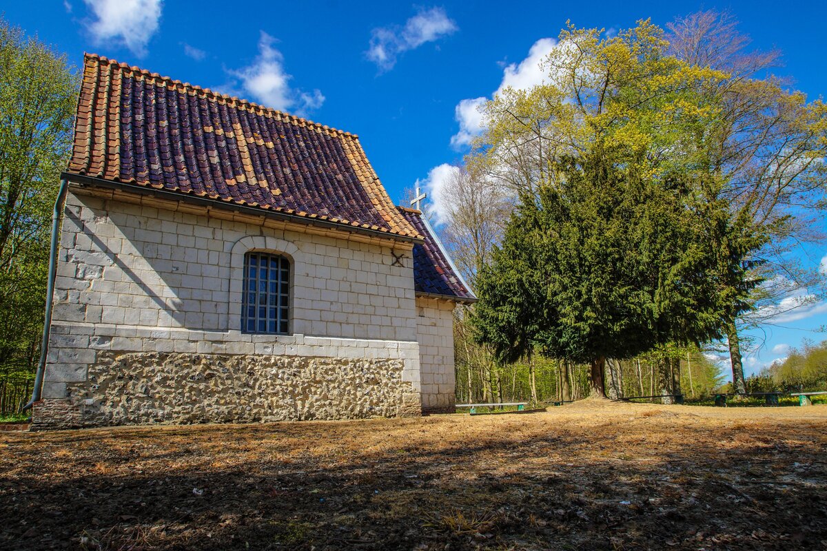 Forêt de TOURNEHEM-SUR-LA-HEM 