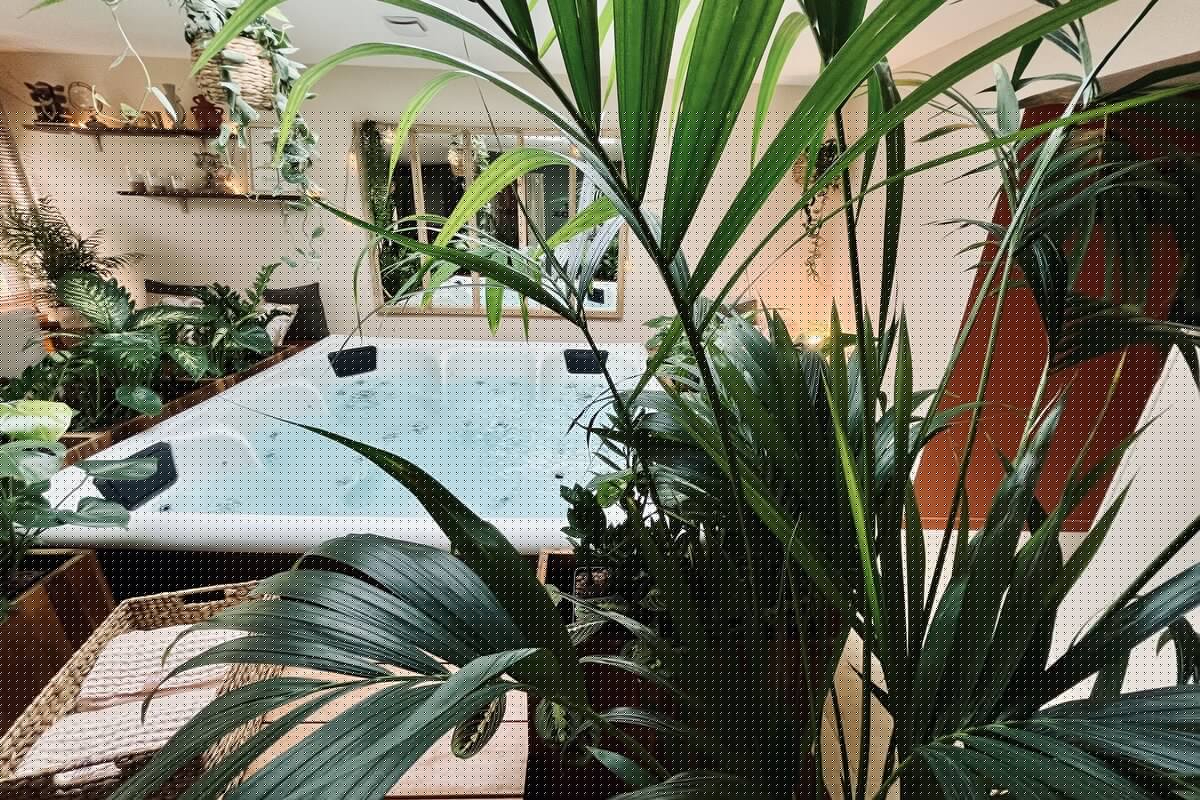 SPA PRIVATIF TRINIDAD VIBES