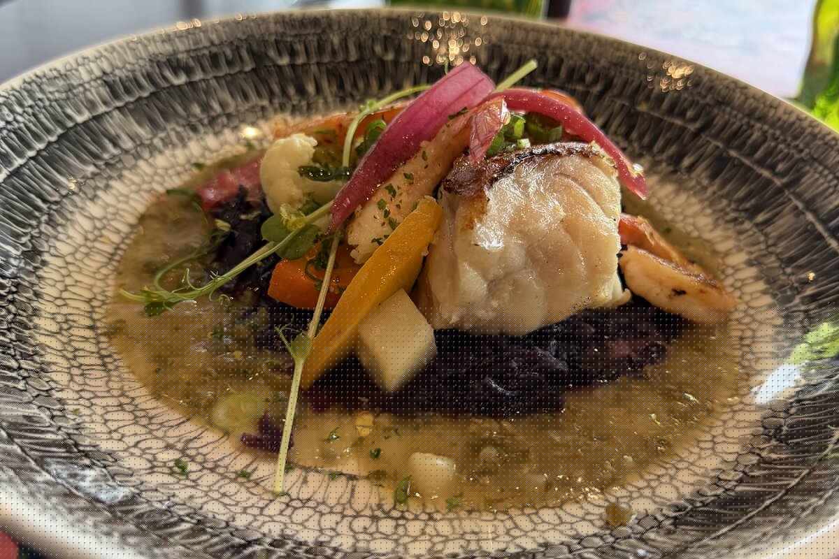 La Terrasse Restaurant SAINT-OMER