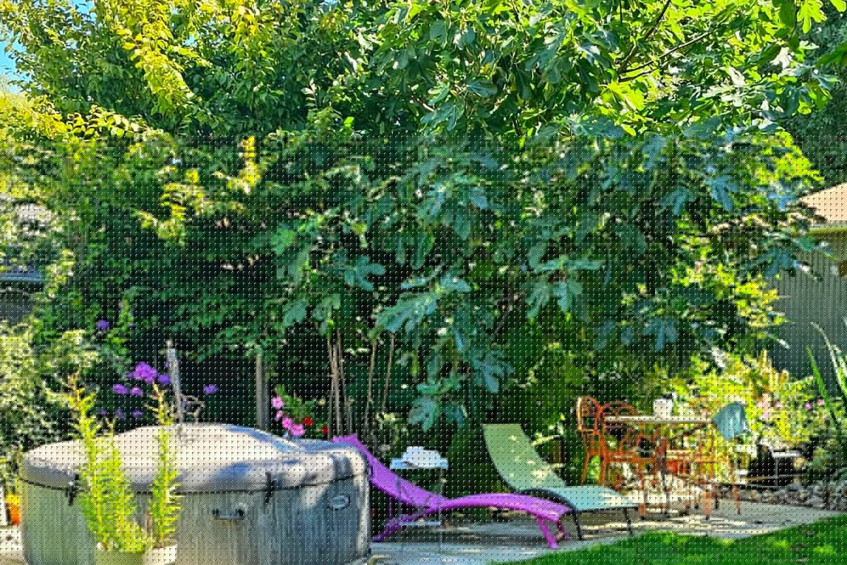 La Grange_Spa en option