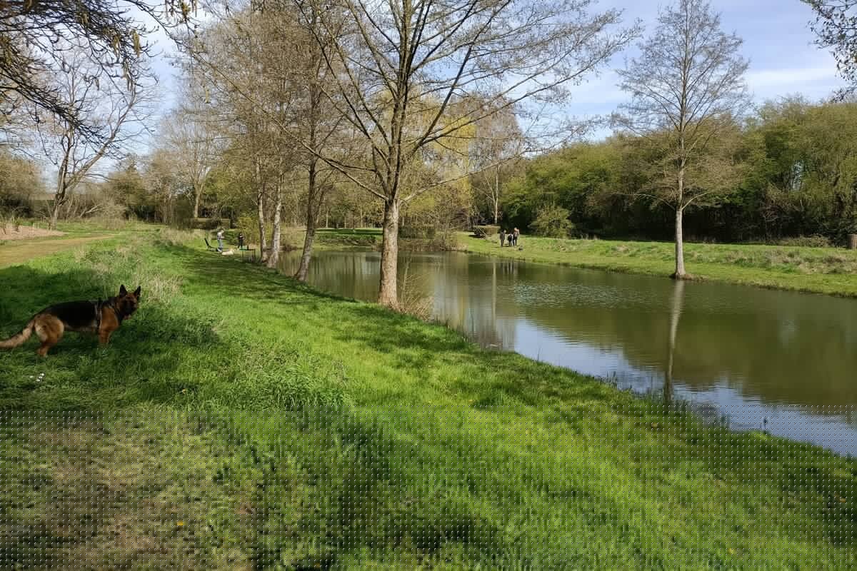 Petite promenade sur les bords des étangs Arc-en-Ciel 