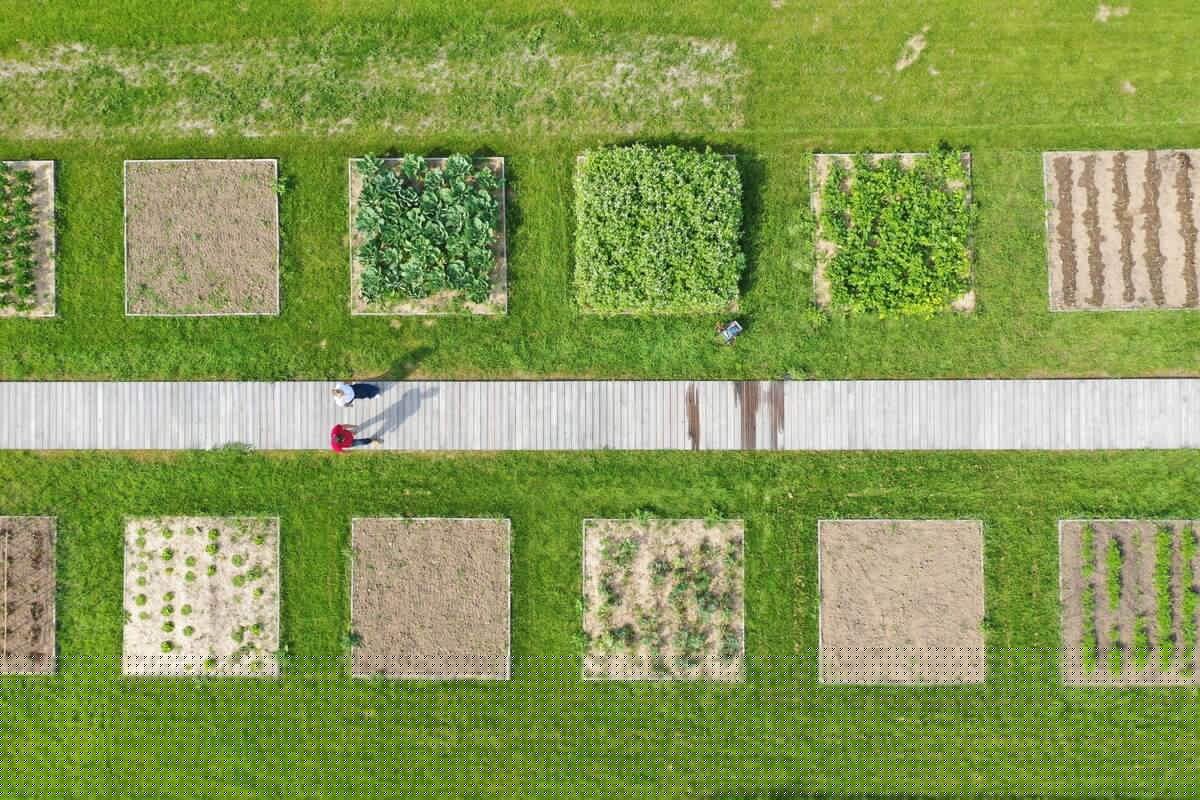 Jardin du Potager Conservatoire Couple