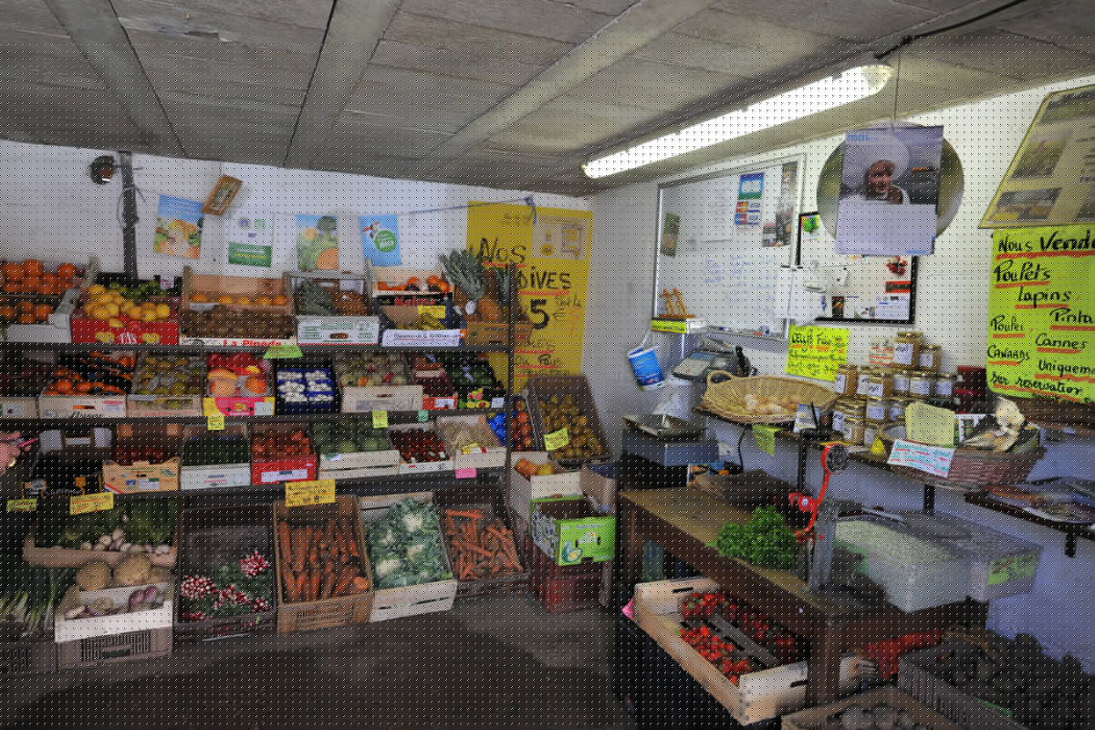 La Cressonnière de Tilques 2010 TILQUES 