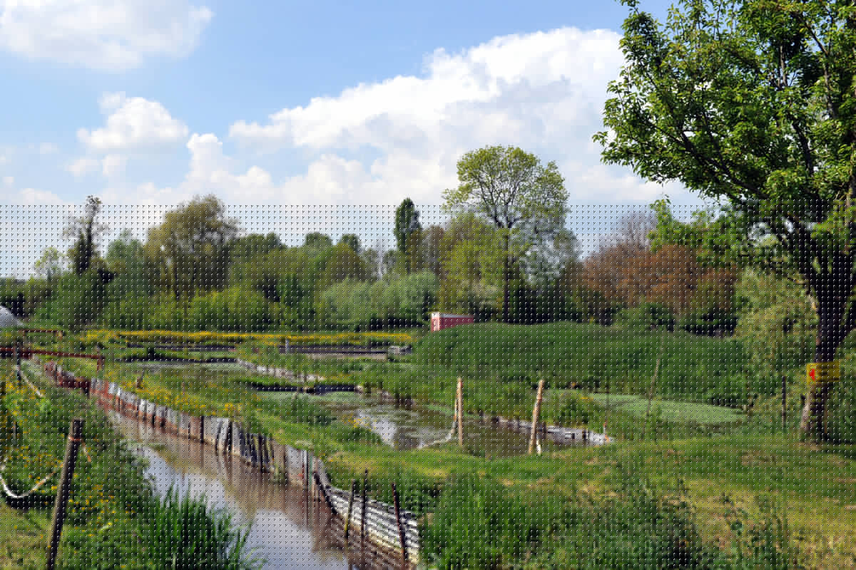 La Cressonnière de Tilques 2010 TILQUES 