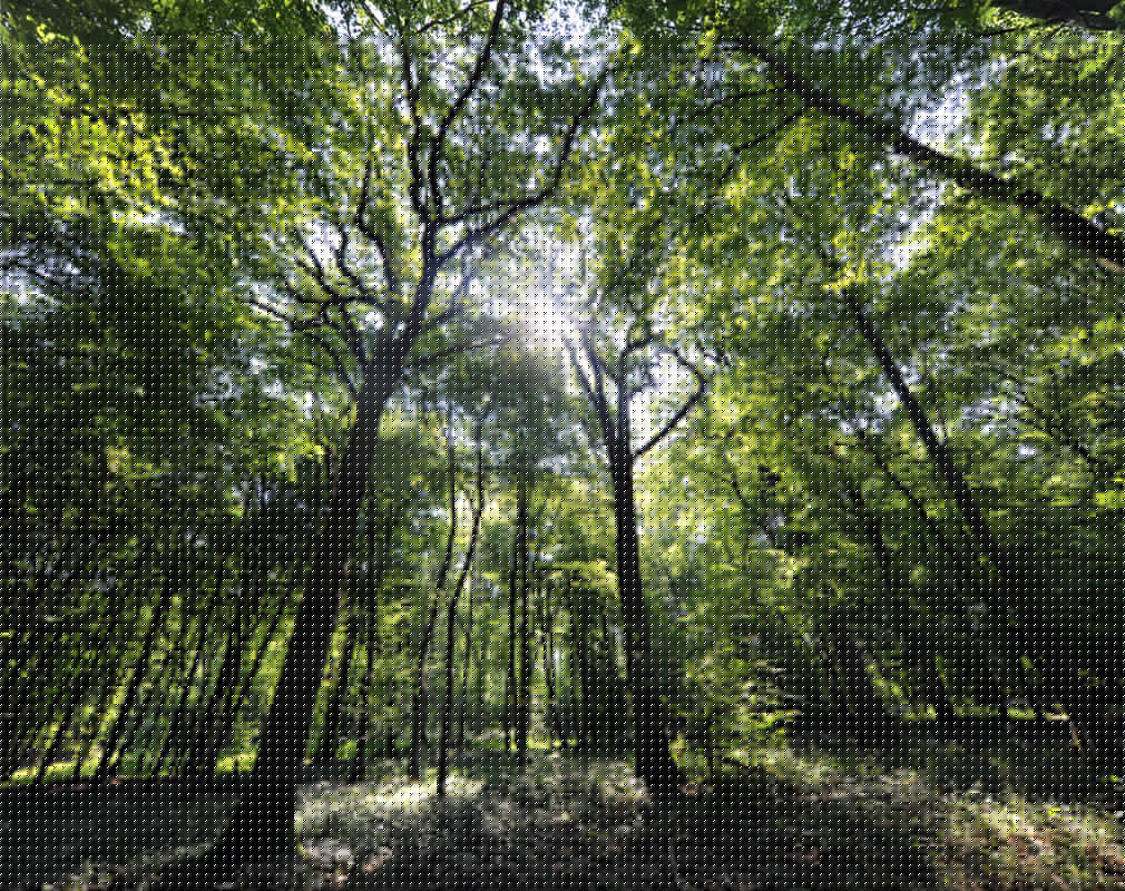 La Héronnière 2010 CLAIMARAIS © Photo Carl - Office de Tourisme de la Région de Saint-Om (2)