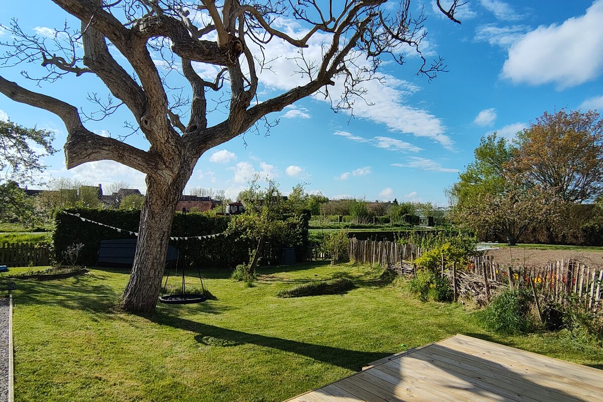 Le jardin depuis la terrasse