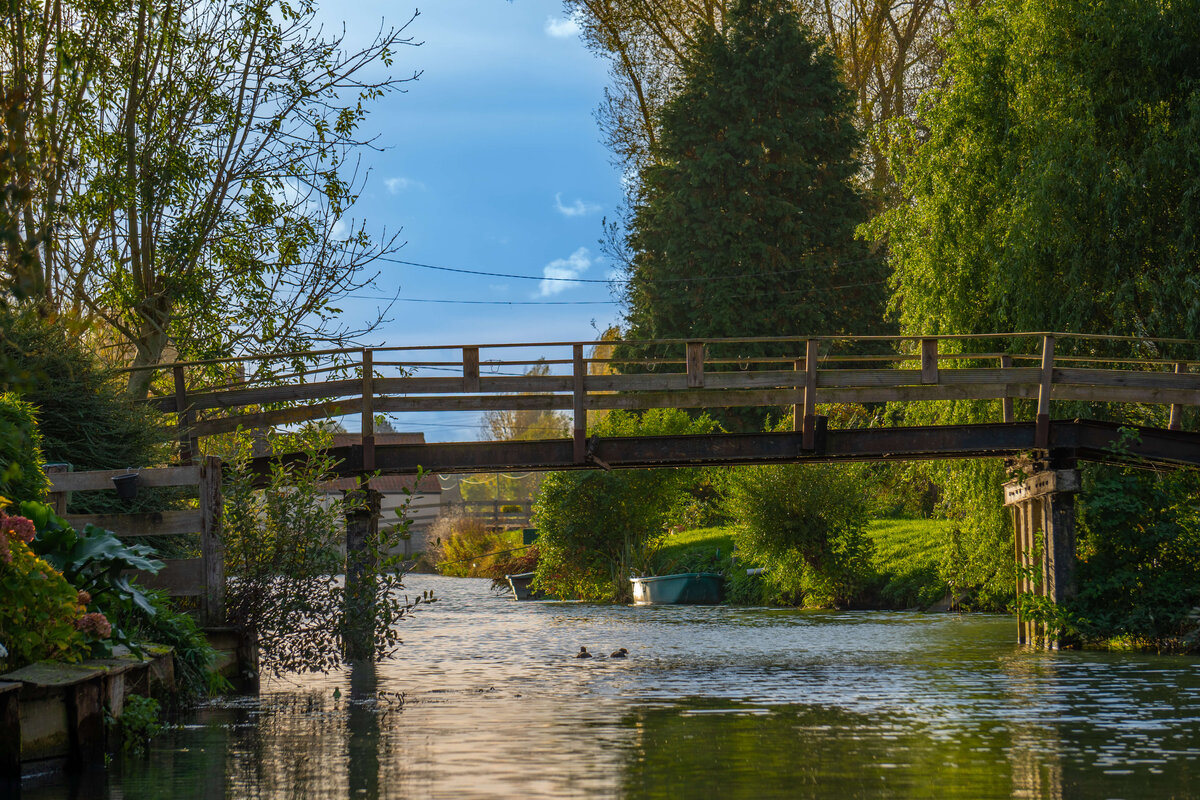 Paysages Marais - Automne - 2022