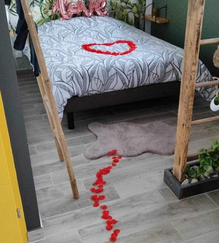 Gîte Le Cosy, à Heuringhem