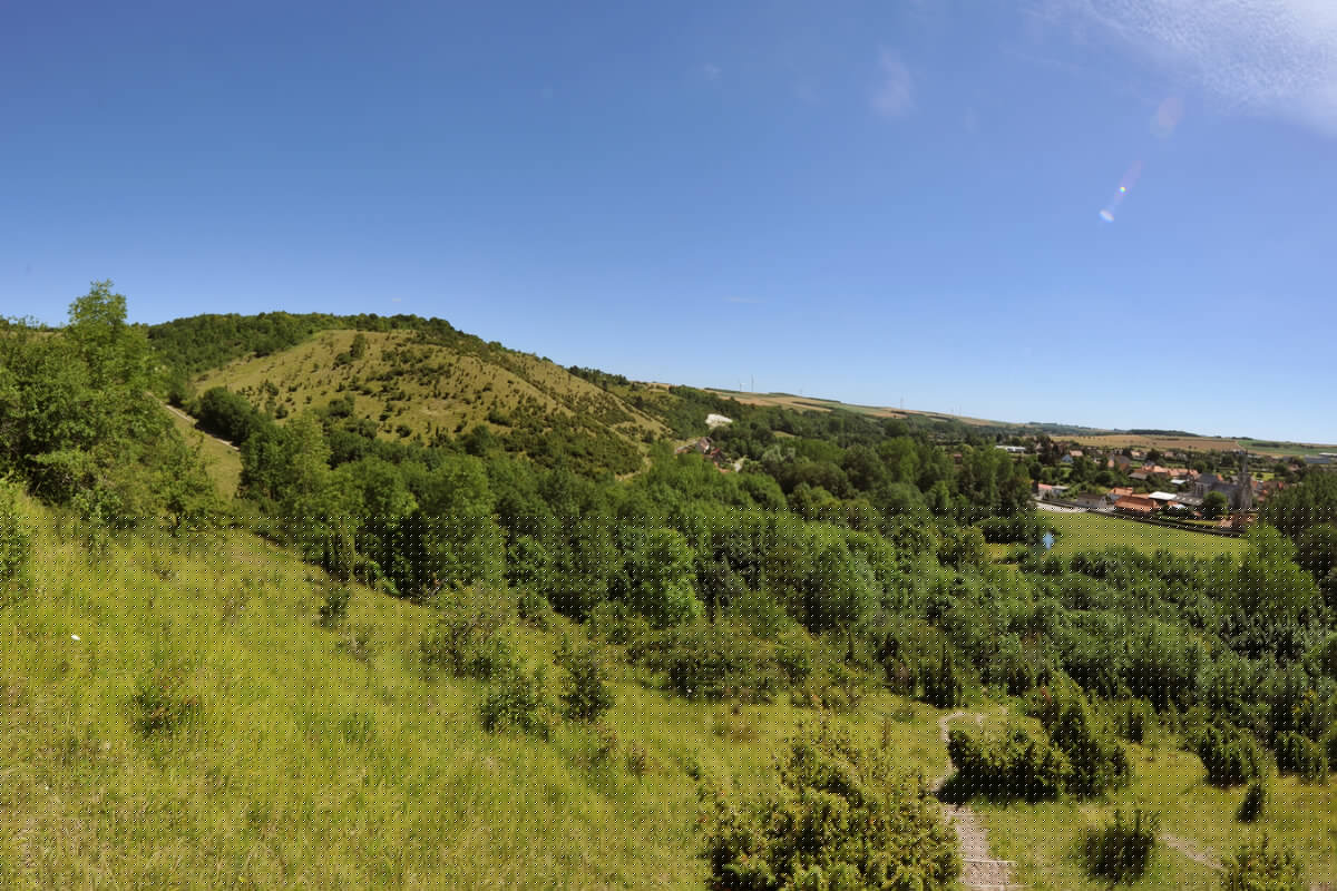 Côteaux Calcaires 2010 WAVRANS-SUR-L'AA