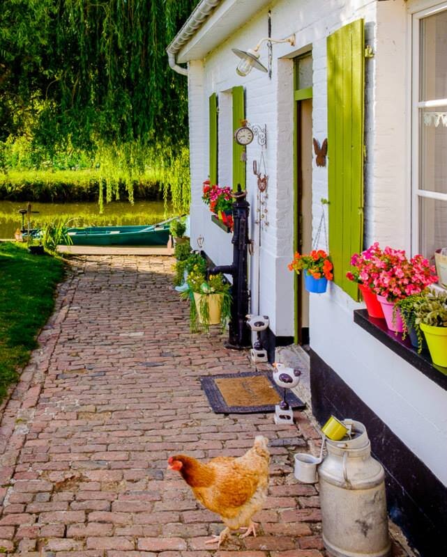 La Fermette de Marie Grouette, marais 1