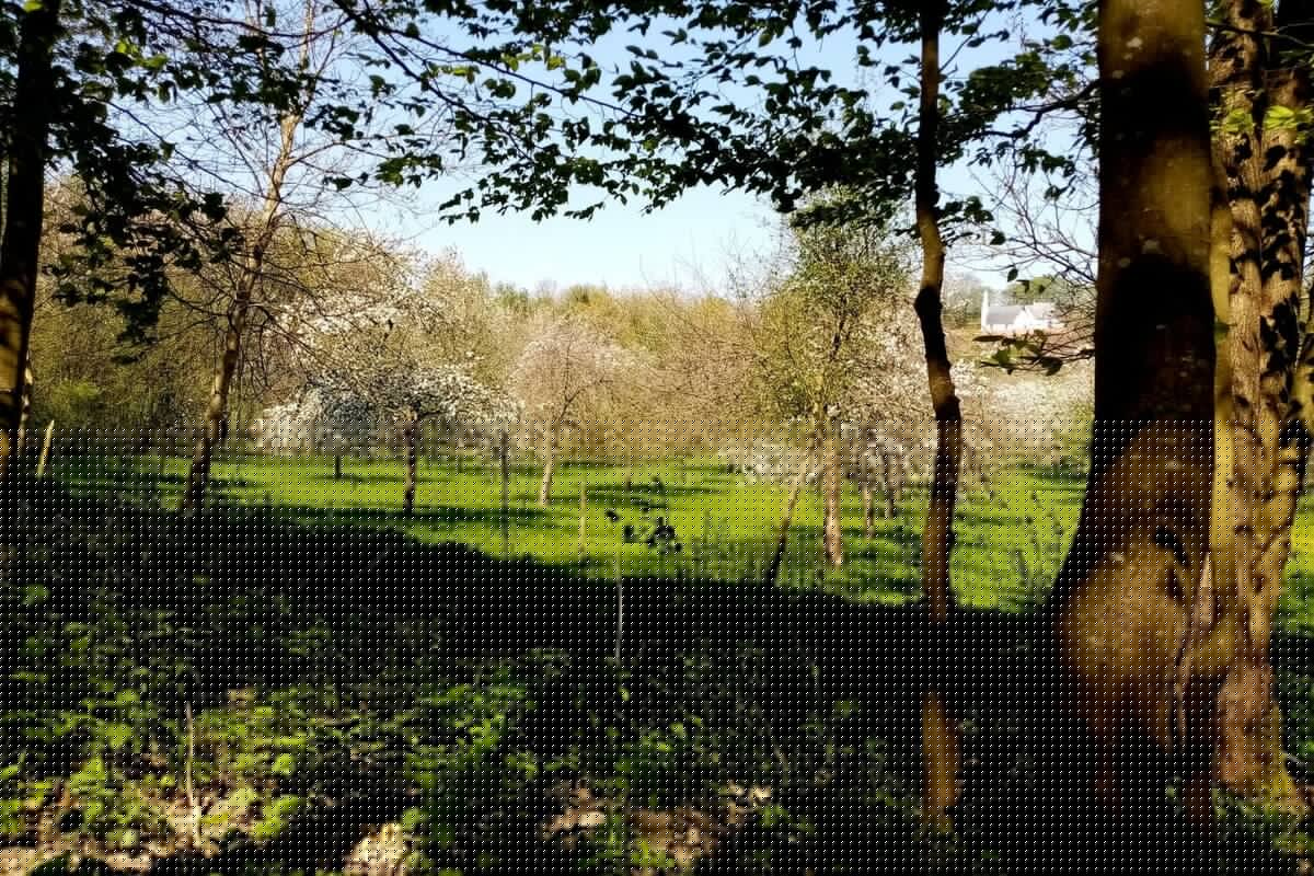 Les Vergers de l'Escapade