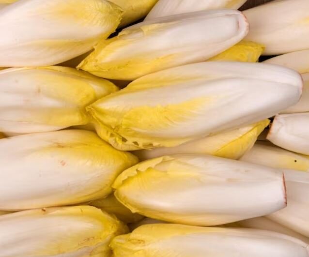 endives _photo d-illustration-non contractuelle © Droits Réservés