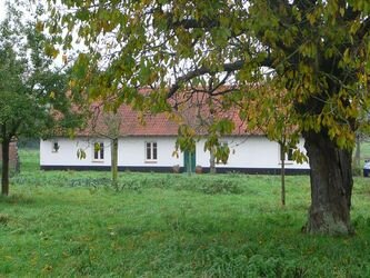 Caché sous les branches