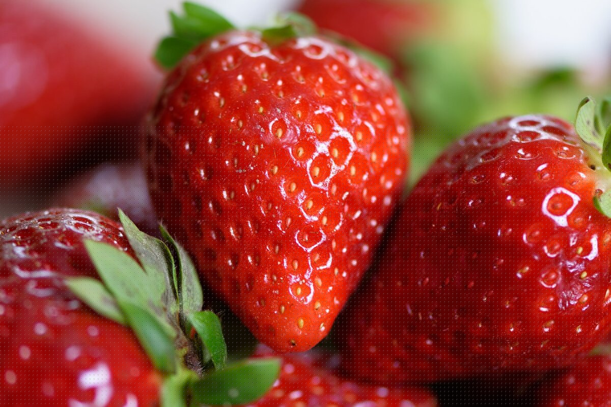 Fraises, photo d'illustration (non contractuelle)