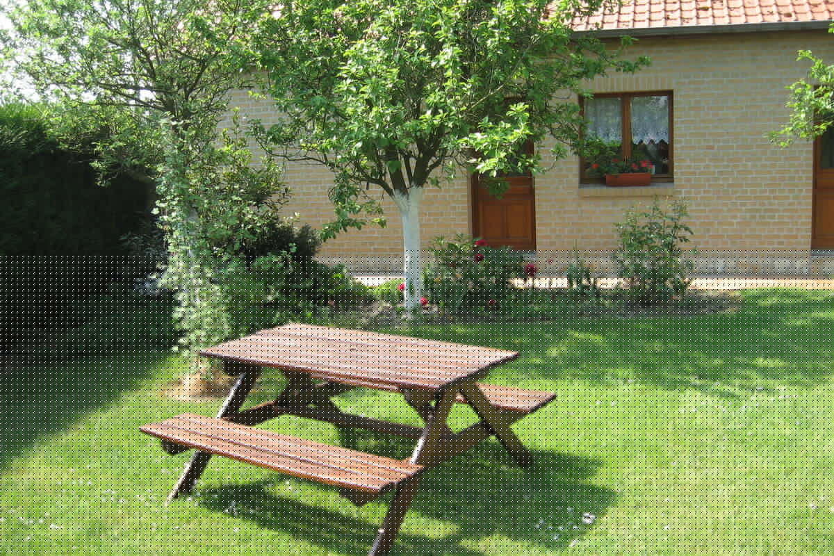 Pivoine et Bord de l'eau