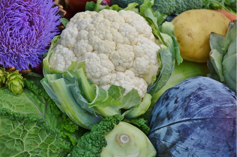 GAEC du Grand Brouck 