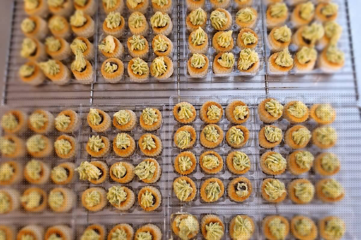 Les escargots du marais