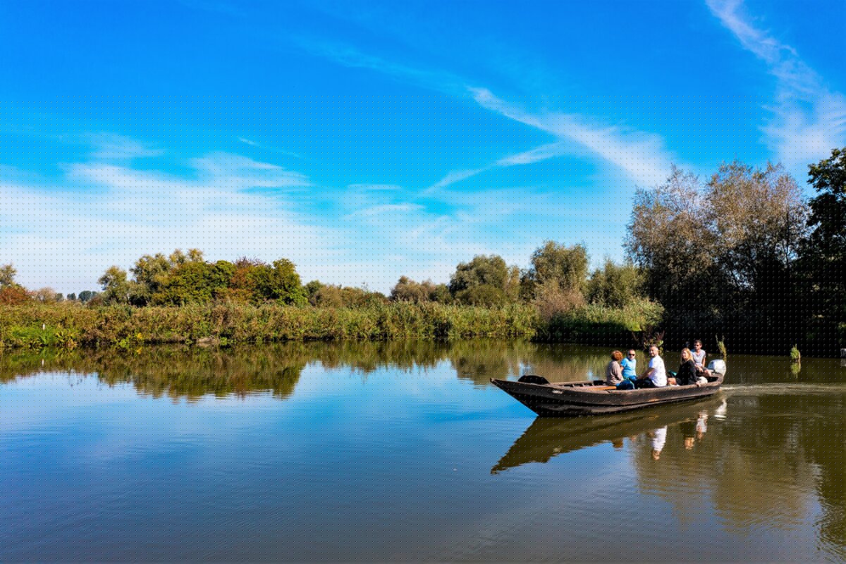 @les cofloccs Bacove (13)