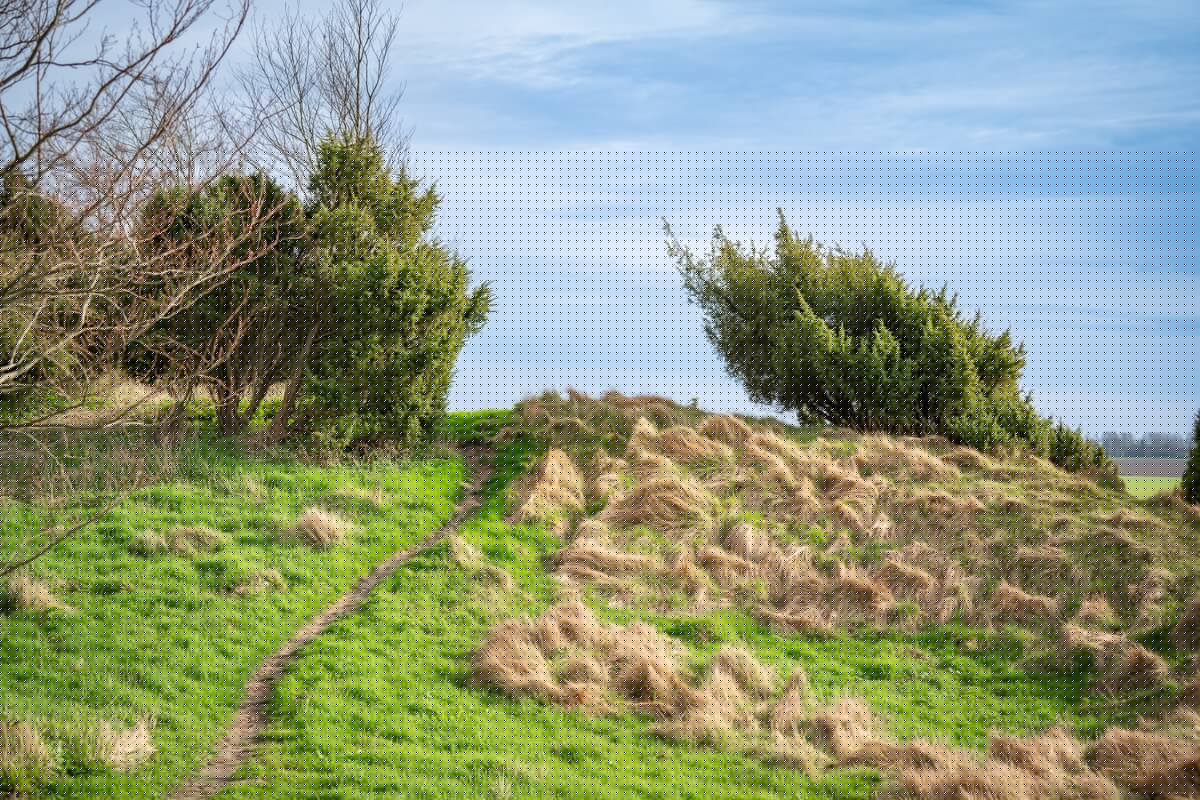 Coteaux de l'Aa - Sentier des Genévriers 2024