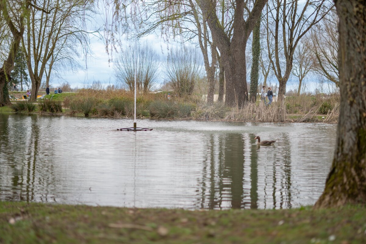 Jardin Public d'Aire-sur-la-Lys