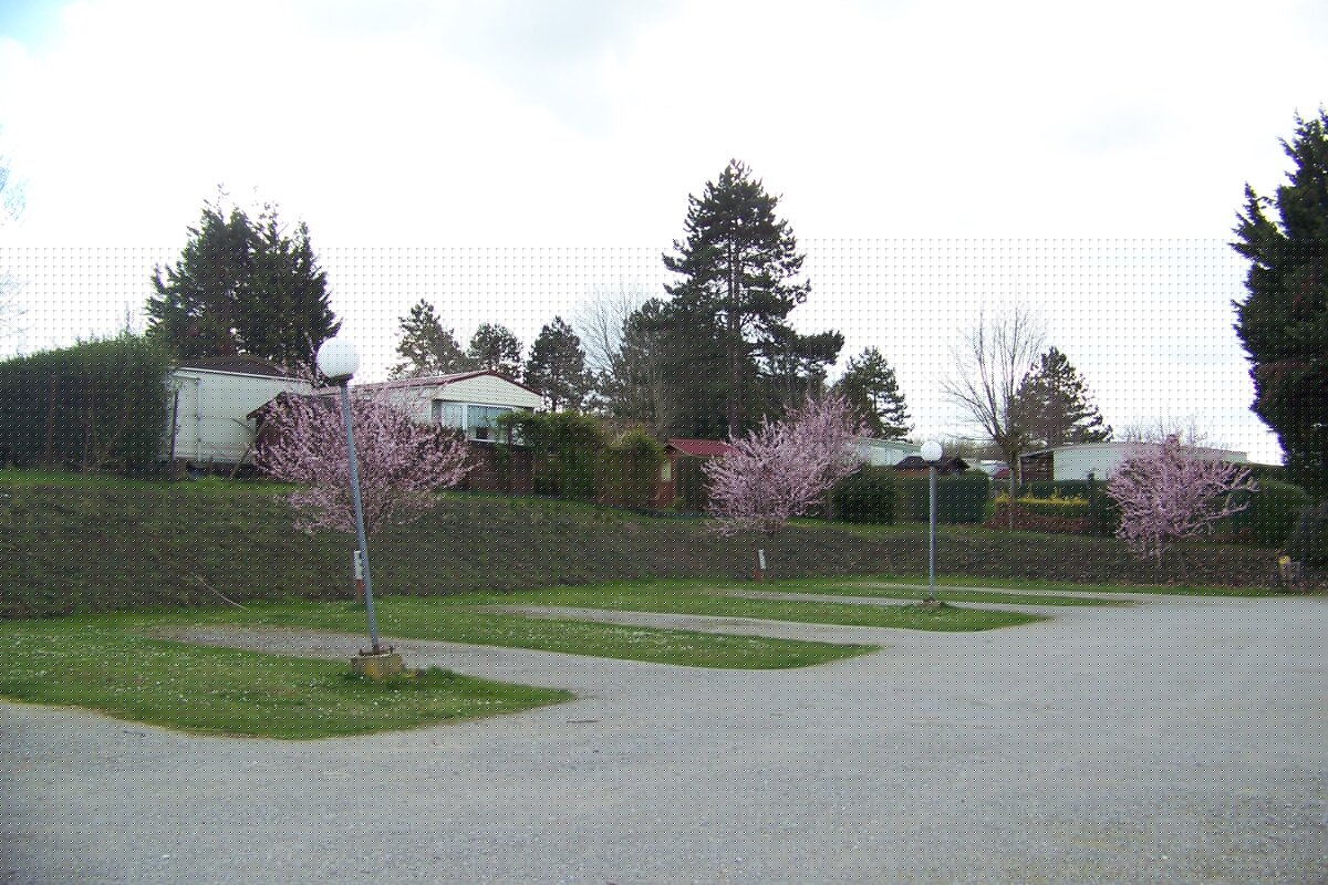 100_8657 - Terrain nu