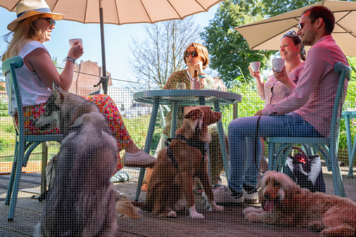 Toutourisme - Maison du Marais 