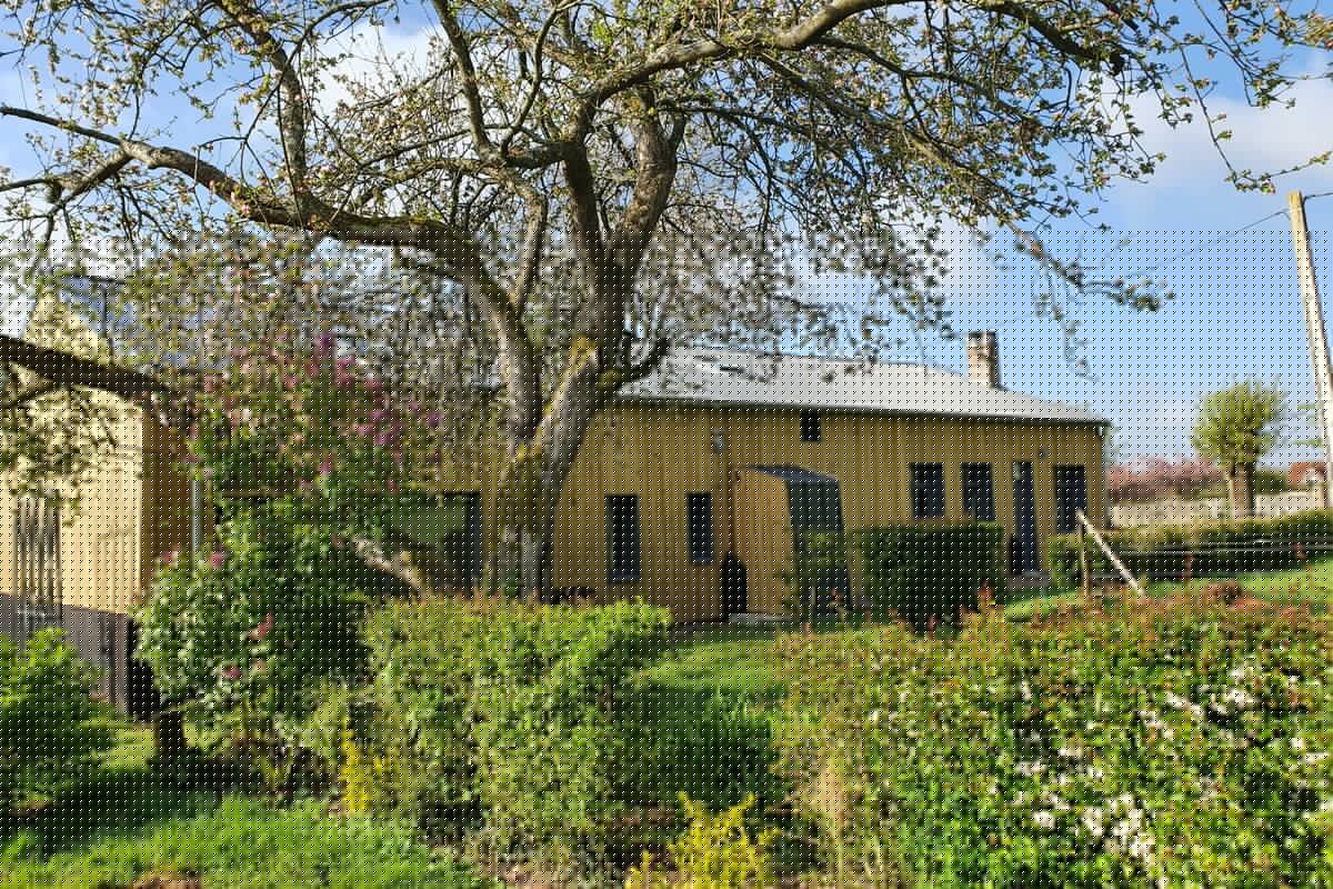 Le Fairway, extérieur