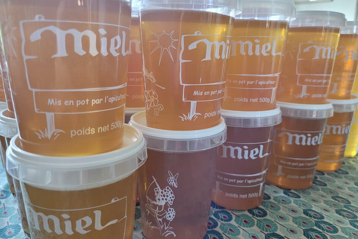 Le Rucher de Noé et Victor