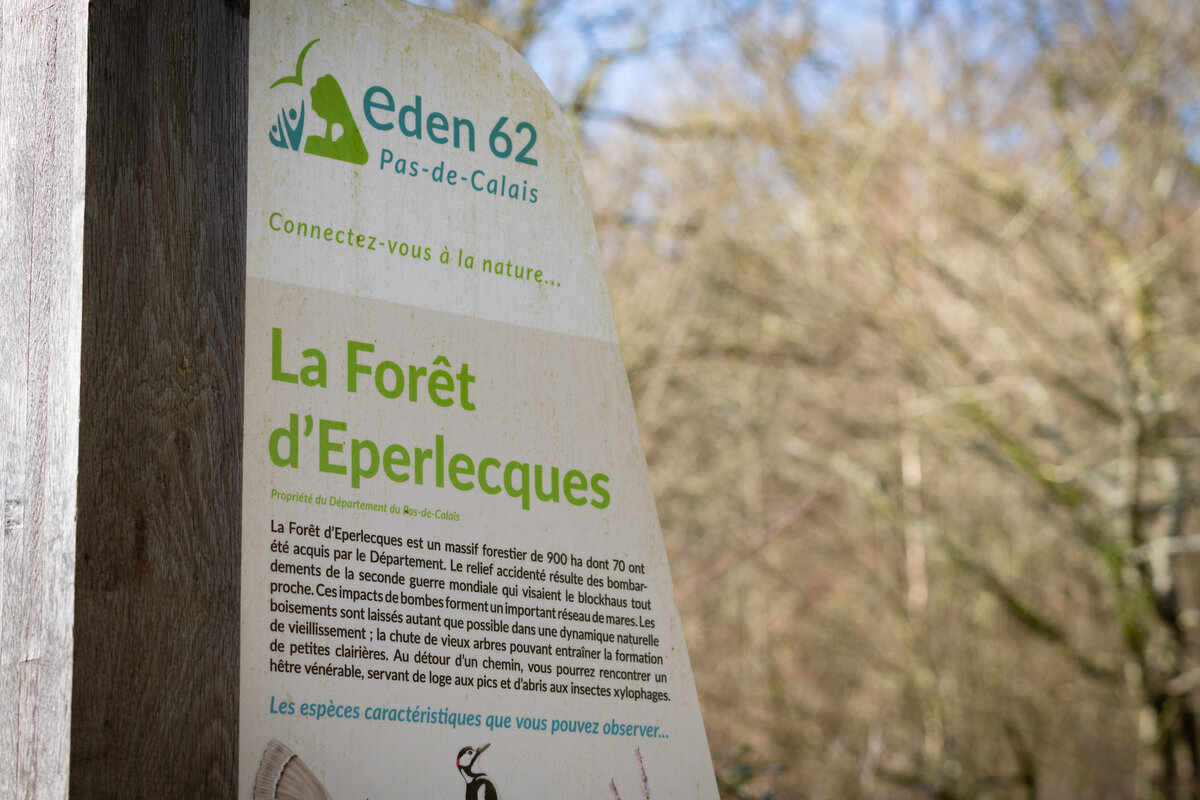 Forêt d'Éperlecques 2024