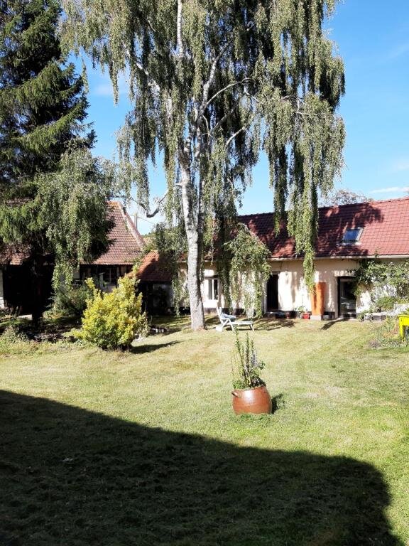 Le Domaine des anges, cour intérieure verdoyante