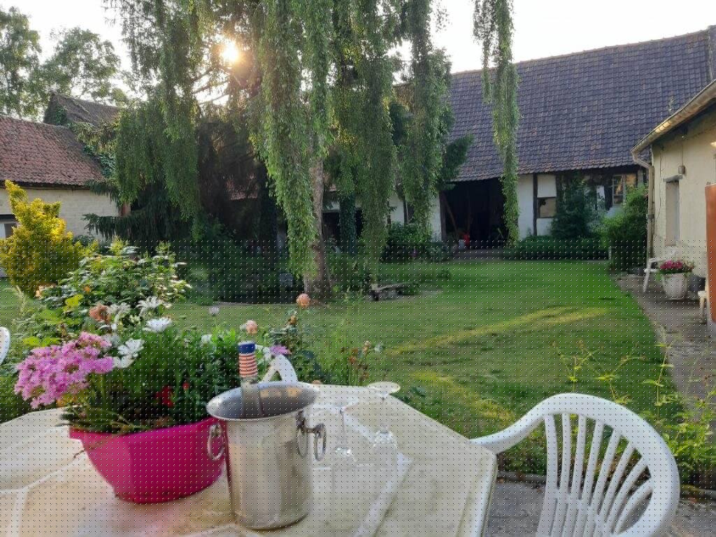 Le Domaine des anges, terrasse