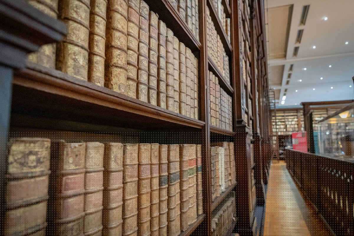 4 - Bibliothèque d'Agglomération du Pays de Saint-Omer - BAPSO © Tourisme en Pays de Saint-Omer 