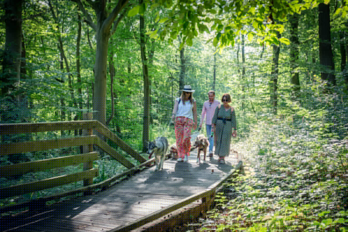 Toutourisme - Fôret d'Éperlecques