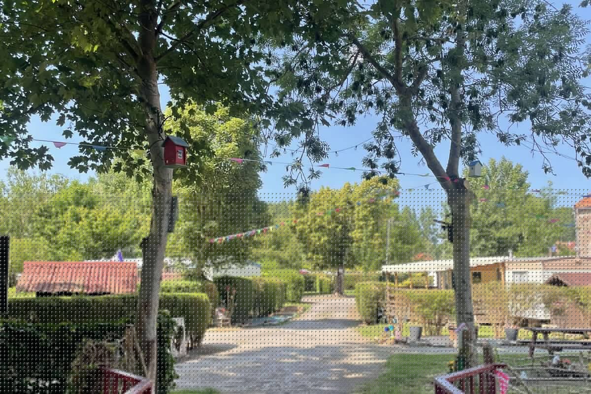 528234769_1068646261715364_8459320542531705029_n