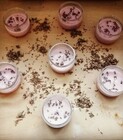 bougies (8).jpg