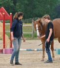 cours ethologie photo de Boulay Severine.jpg