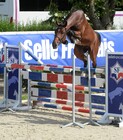 conours males 2 ans cluny photo de Pinel Pauline.jpg