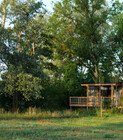 Cabane dans les bois en Champagne ©-NUTCHEL.jpg